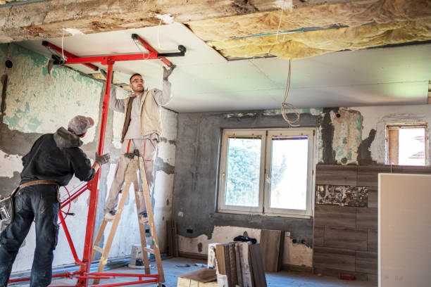 Best Cellulose Insulation in Hewlett, NY