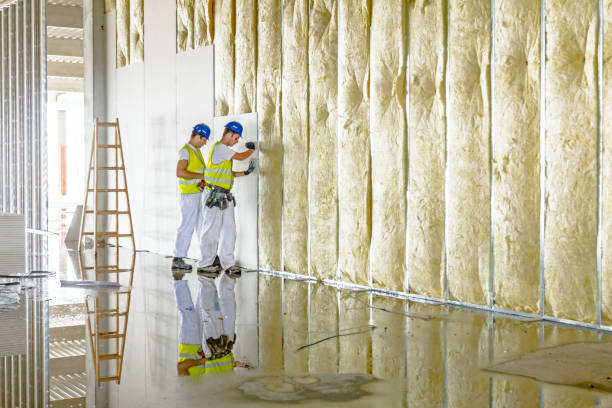 Types of Insulation We Offer in Hewlett, NY